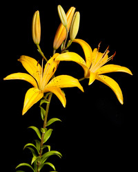 Similar image 6714910