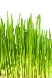 Similar image 6714911