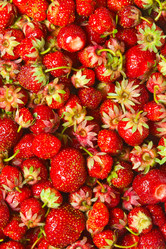 Similar image 6714914