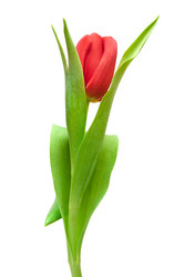 Similar image 6714921