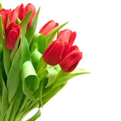 Similar image 6714923