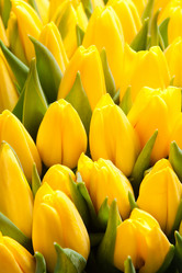 Similar image 6714931