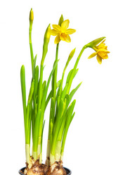 Similar image 6714932