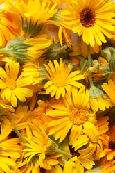 Similar image 6714936