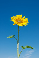 Similar image 6714937