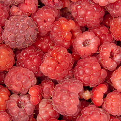 Similar image 6714939