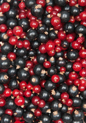 Similar image 6714945