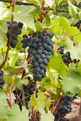 Similar image 6714950