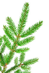 Similar image 6714954