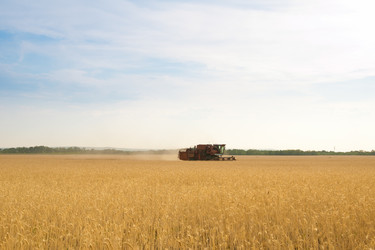 Similar image 6714957