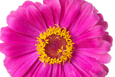 Similar image 6714961