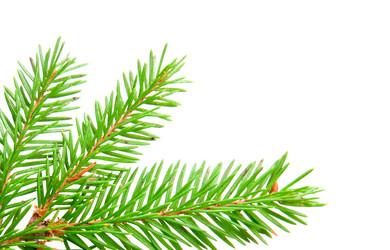 Similar image 6714963