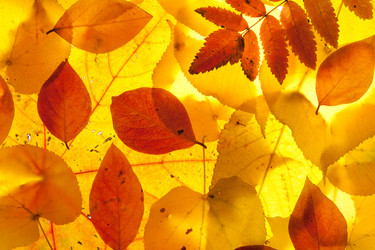 Similar image 6714966