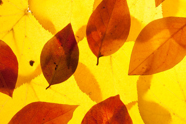 Similar image 6714968