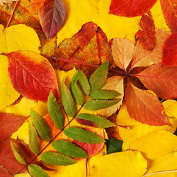 Similar image 6714969