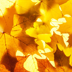 Similar image 6714970