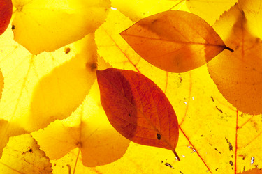 Similar image 6714974