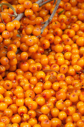 Similar image 6714980