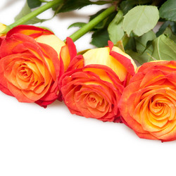 Similar image 6714983