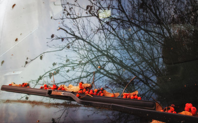 Similar image 6715060