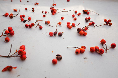 Similar image 6715061