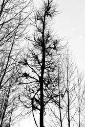 Similar image 6715063