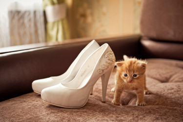 Similar image 6715094