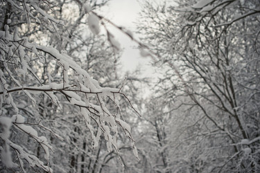 Similar image 6715132