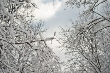 Similar image 6715237