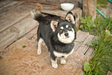 Similar image 6715261