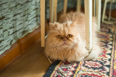 Similar image 6715264