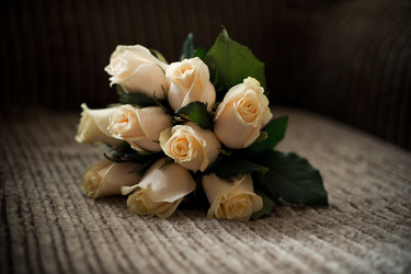 Similar image 6715269