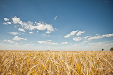 Similar image 6715274