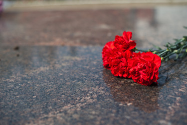 Similar image 6715297