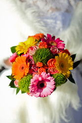 Similar image 6715301