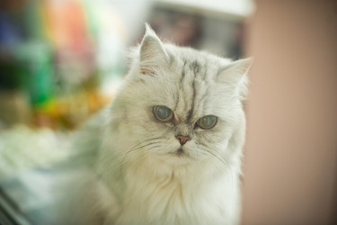 Similar image 6715330