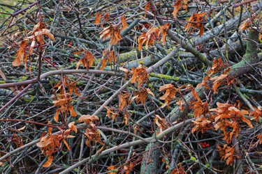 Similar image 6715338