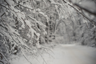 Similar image 6715344