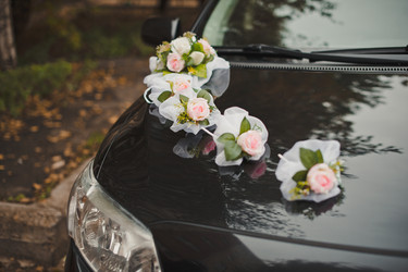 Similar image 6715377