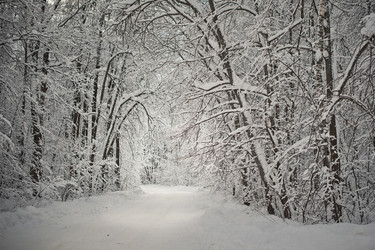 Similar image 6715401