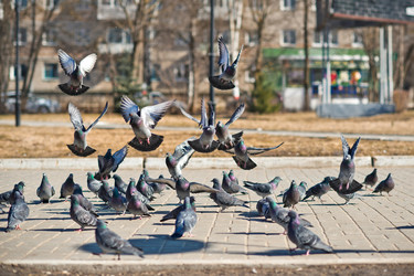 Similar image 6715510