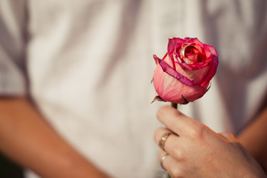 Similar image 6715516