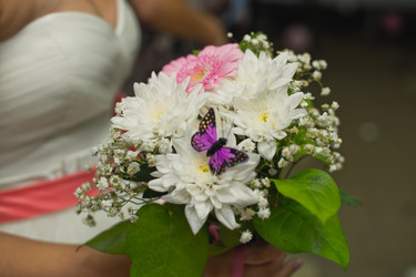 Similar image 6715574