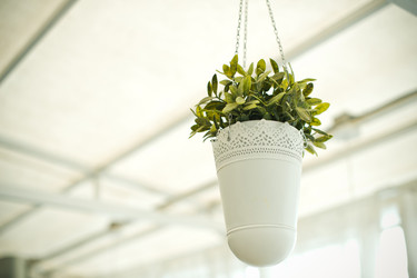 Similar image 6715598