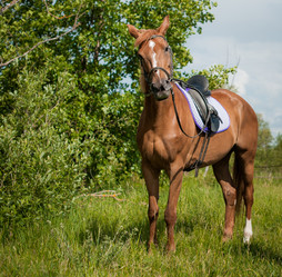 Similar image 6715610