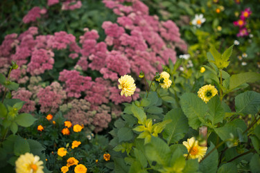 Similar image 6715617