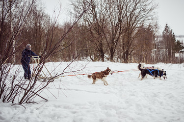 Similar image 6715621