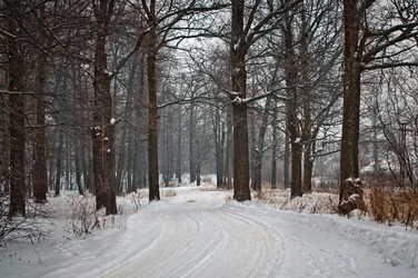 Similar image 6715644