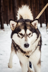 Similar image 6715652