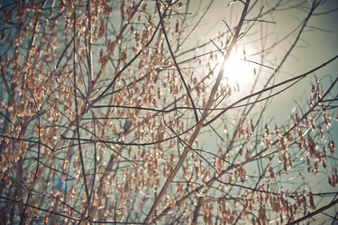 Similar image 6715655